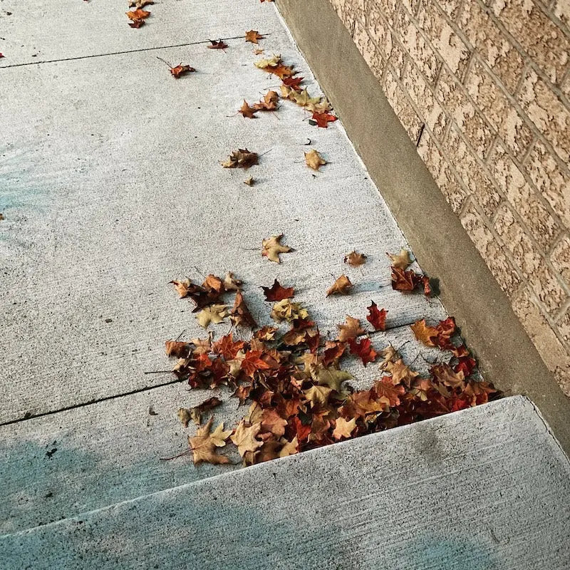 Fall leaves scattered on a concrete step