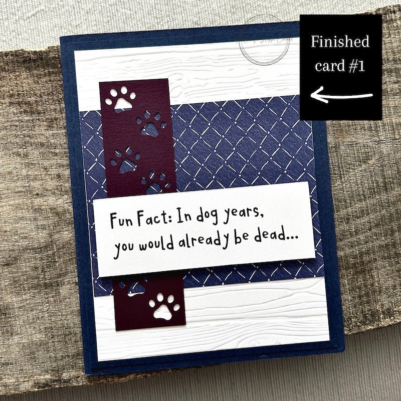 One of the 4 completed birthday cards created from the kit, showcasing funny sentiments and designs - The Craft Shoppe Canada