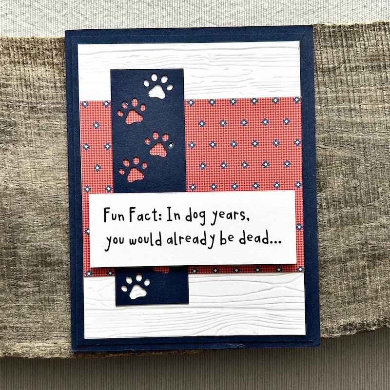 Card Making Kit | Sarcastic Funny Cards - The Craft Shoppe Canada