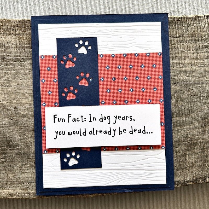 Card Making Kit | Sarcastic Funny Cards - The Craft Shoppe Canada